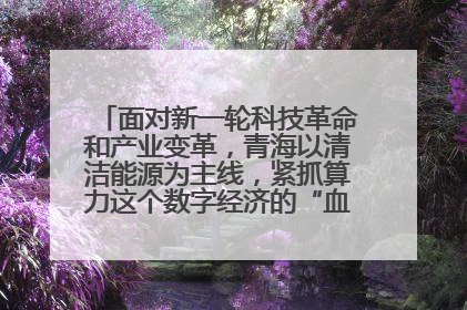 面对新一轮科技革命和产业变革,青海以清洁能源为主线,紧抓算力这个数字经济的“血液”、科技主权的“筹码”、产业升级的“杠杆”、绿色转型的“支点”,勇于撬动国家“双碳”战略、“东数西算”工程重大发展新机遇,点亮绿色算电协同新赛道,蹚出一条符合本地实际的高质量发展之路——青海:“绿色算力” 锚定“东数西算”国家战略布局