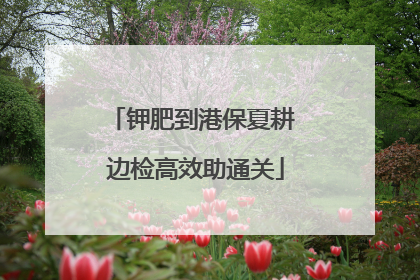 钾肥到港保夏耕 边检高效助通关
