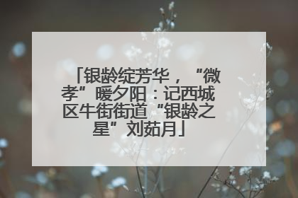 银龄绽芳华，“微孝”暖夕阳：记西城区牛街街道“银龄之星”刘茹月