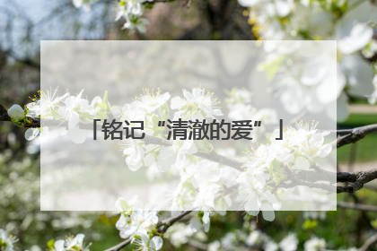 铭记“清澈的爱”