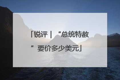 锐评｜“总统特赦”要价多少美元