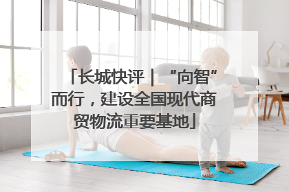 长城快评｜“向智”而行，建设全国现代商贸物流重要基地