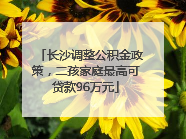 长沙调整公积金政策，二孩家庭最高可贷款96万元