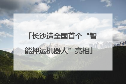 长沙造全国首个“智能押运机器人”亮相