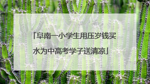 阜南一小学生用压岁钱买水为中高考学子送清凉