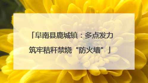 阜南县鹿城镇：多点发力 筑牢秸秆禁烧“防火墙”