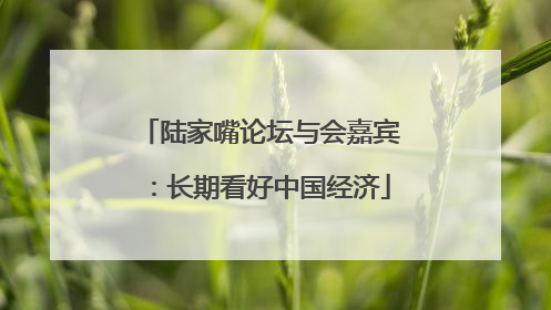 陆家嘴论坛与会嘉宾：长期看好中国经济