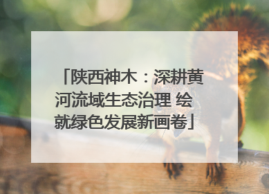 陕西神木：深耕黄河流域生态治理 绘就绿色发展新画卷