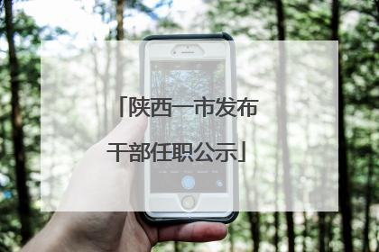陕西一市发布干部任职公示