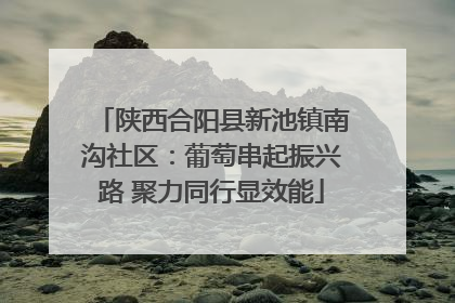 陕西合阳县新池镇南沟社区：葡萄串起振兴路 聚力同行显效能
