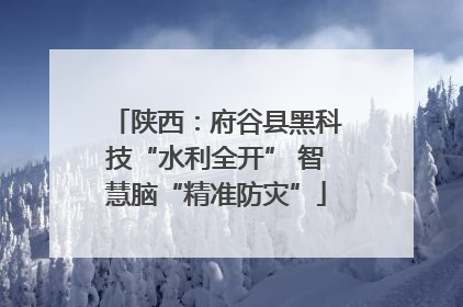 陕西：府谷县黑科技“水利全开” 智慧脑“精准防灾”