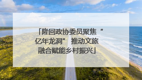 隆回政协委员聚焦“亿年龙洞” 推动文旅融合赋能乡村振兴