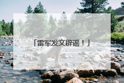 雷军发文辟谣！