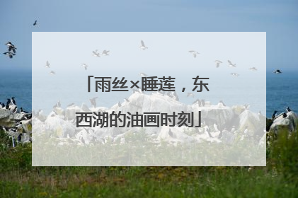 雨丝×睡莲，东西湖的油画时刻