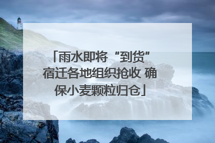 雨水即将“到货” 宿迁各地组织抢收 确保小麦颗粒归仓
