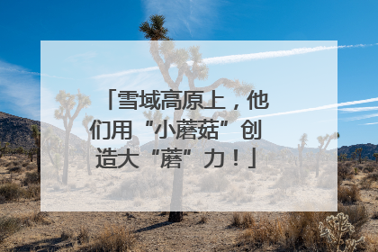 雪域高原上，他们用“小蘑菇”创造大“蘑”力！