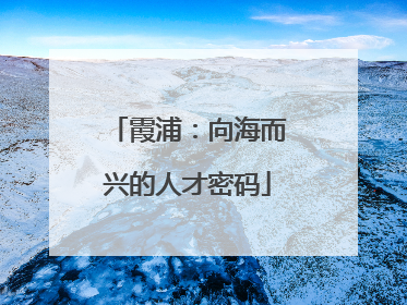 霞浦：向海而兴的人才密码