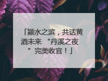 颍水之滨，共话黄酒未来 “丹溪之夜”完美收官！