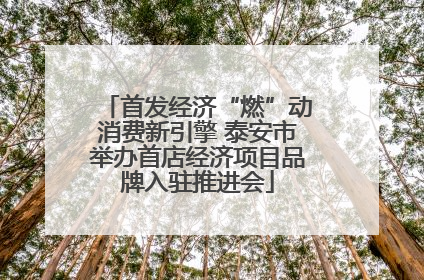 首发经济“燃”动消费新引擎 泰安市举办首店经济项目品牌入驻推进会