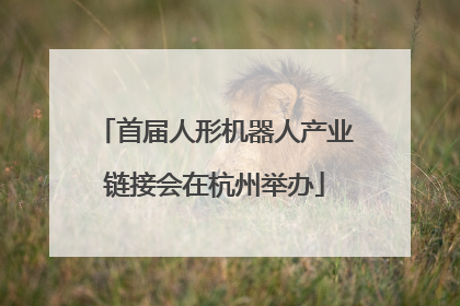 首届人形机器人产业链接会在杭州举办