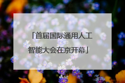 首届国际通用人工智能大会在京开幕
