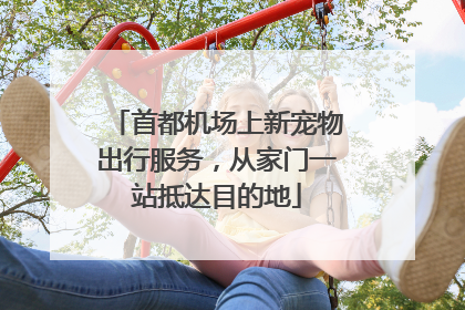 首都机场上新宠物出行服务，从家门一站抵达目的地