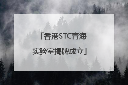 香港STC青海实验室揭牌成立