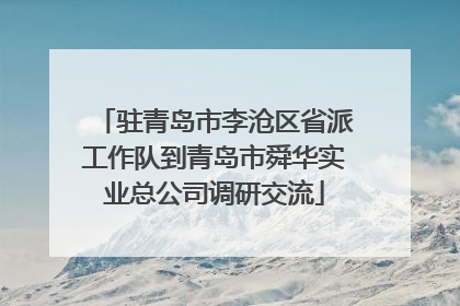 驻青岛市李沧区省派工作队到青岛市舜华实业总公司调研交流