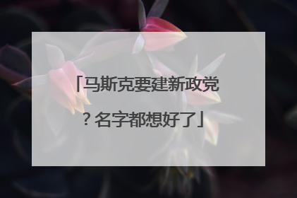 马斯克要建新政党？名字都想好了