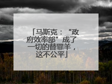 马斯克：“政府效率部”成了一切的替罪羊，这不公平