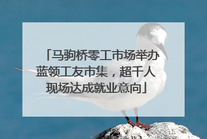 马驹桥零工市场举办蓝领工友市集，超千人现场达成就业意向
