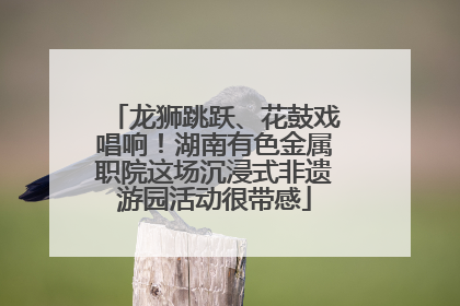 龙狮跳跃、花鼓戏唱响！湖南有色金属职院这场沉浸式非遗游园活动很带感