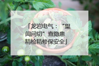 龙岩电气：“望闻问切”查隐患 精检精修保安全