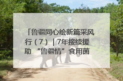 鲁疆同心绘新篇采风行（7）｜7年接续援助 “鲁疆情”食用菌从1.0走向4.0