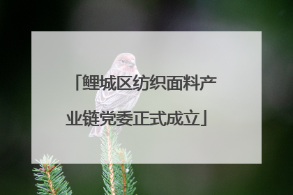鲤城区纺织面料产业链党委正式成立