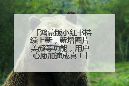 鸿蒙版小红书持续上新，新增图片美颜等功能，用户心愿加速成真！