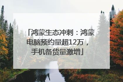 鸿蒙生态冲刺：鸿蒙电脑预约量超12万，手机备货量激增