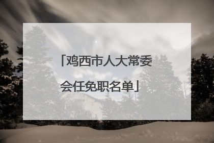 鸡西市人大常委会任免职名单