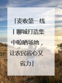 麦收第一线丨聊城打造集中晾晒场地，让农民省心又省力