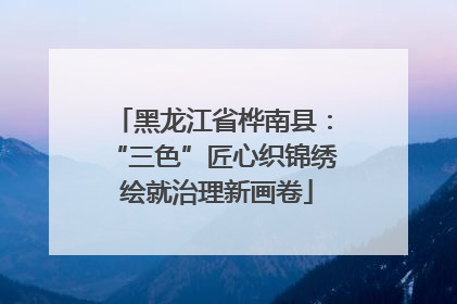 黑龙江省桦南县：“三色”匠心织锦绣 绘就治理新画卷