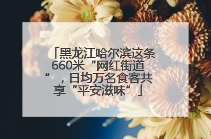 黑龙江哈尔滨这条660米“网红街道”，日均万名食客共享“平安滋味”