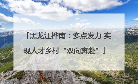 黑龙江桦南：多点发力 实现人才乡村“双向奔赴”