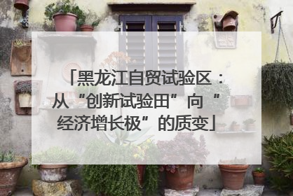 黑龙江自贸试验区：从“创新试验田”向“经济增长极”的质变