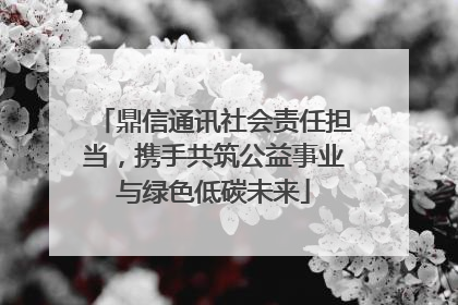 鼎信通讯社会责任担当，携手共筑公益事业与绿色低碳未来