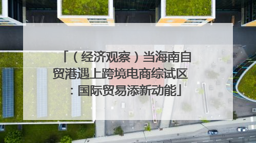 （经济观察）当海南自贸港遇上跨境电商综试区：国际贸易添新动能