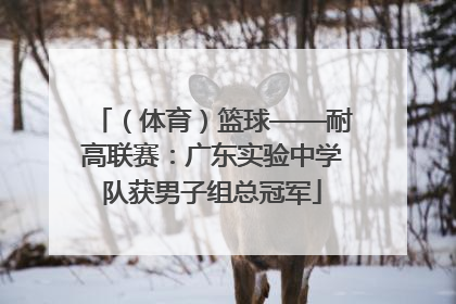 （体育）篮球——耐高联赛：广东实验中学队获男子组总冠军