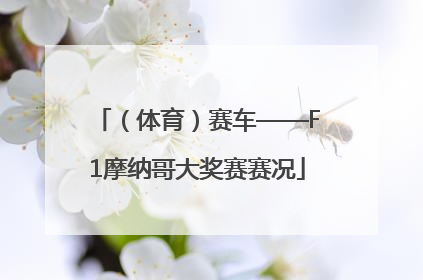 （体育）赛车——F1摩纳哥大奖赛赛况
