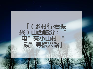 （乡村行·看振兴）山西临汾：“电”亮小山村 “碳”寻振兴路