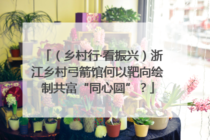 （乡村行·看振兴）浙江乡村弓箭馆何以靶向绘制共富“同心圆”？