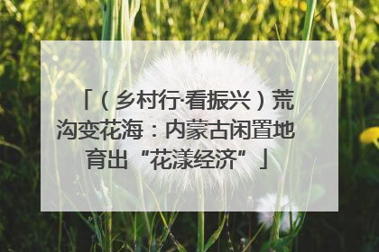 （乡村行·看振兴）荒沟变花海：内蒙古闲置地育出“花漾经济”
